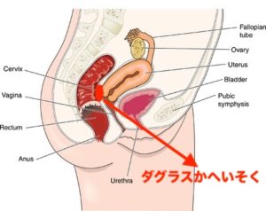 ダグラスかへいそく